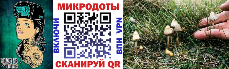 даркнет сайт  Бабаево  Псилоцибиновые грибы Psilocybine cubensis 